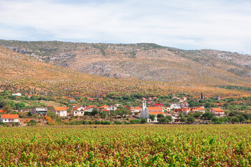 Vineyards in the small village in Bosnia and Herzegovina. Countryside landscape in Balkans