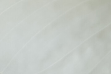 Obraz premium Simple white background with smooth curved lines