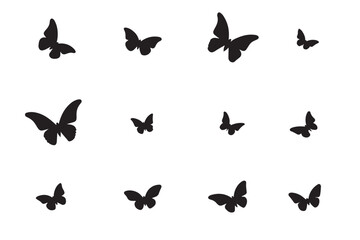 Fototapeta premium set of butterflies silhouettes