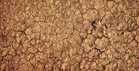 Drought Dried Dirt Parched Earth Lack of Water and Rainfall