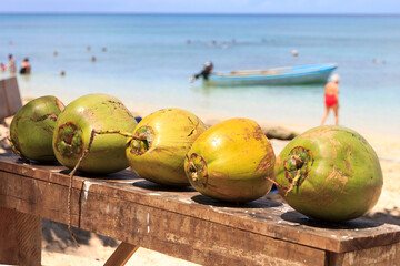 Coconuts on Dravuni island