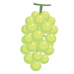 マスカットのイラスト カラー 線なし