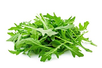 Fresh Green Arugula Leaves on a White Background