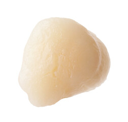 One fresh raw scallop isolated on white