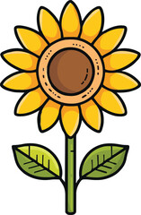 Sunflower Hand Drawn Illustration
