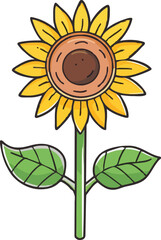 Sunflower Hand Drawn Illustration