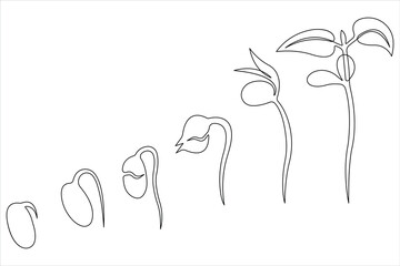 One continuous line drawing Plant growth process 