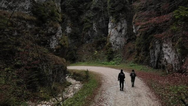 Romania, Romanian Carpathians - high rock walls of the Zarnesti Gorge and a wandering tourist