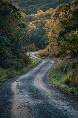 Fototapeta premium Winding Country Road Through Autumnal Woods