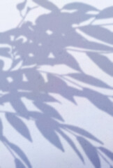 背景イラスト_木漏れ日