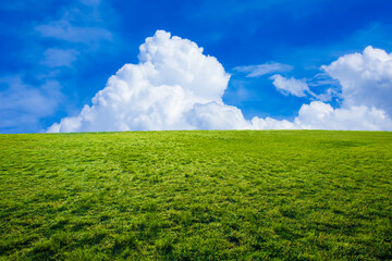 夏雲と緑の草原