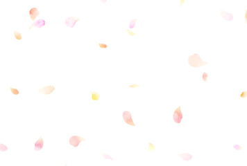 背景素材_水彩花吹雪_ピンク