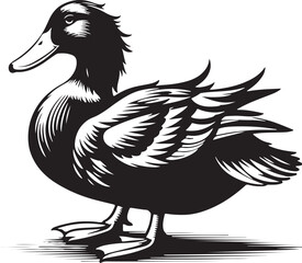 Duck silhouette vector image