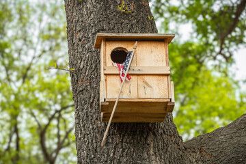 Patriotic squirrel house in a tree with an American flag inside the door