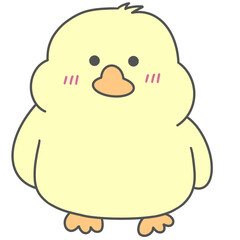 baby duck