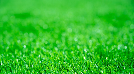 Fototapeta premium Green grass background, wallpaper