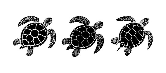 graphic sea turtle,vector illustration of sea turtle,vector of turtle design on a white background,save a turtle.