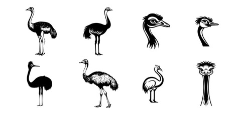 set of silhouettes ostrich in vector