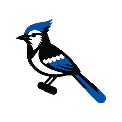 Elegant Blue Jay Illustration: Vibrant Stylized Bird with Bold Colors and Artistic Design