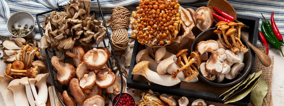 Tasty raw mushrooms collection. Healthy food concept