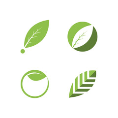 Green leaf illustration