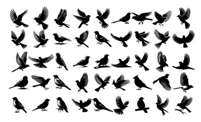 Black bird silhouettes collection, pigeon silhouette, vector of a flying dove.