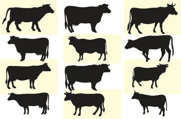 Cows and buffalo in different poses and positions. Dairy products,  farming, cattle breeding poster, banner or flyer idea. Video games or animated film making. Editable vector, eps 10.