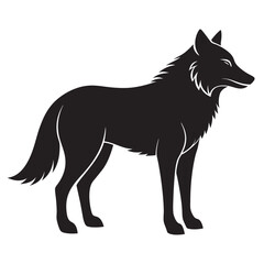 vector illustration of wolf