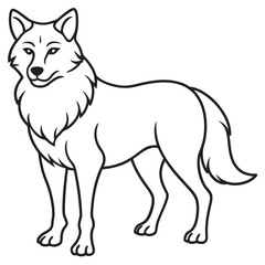 vector illustration of wolf