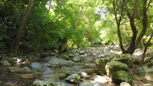 A drone flies through forest, stream flowing between big rocks and surrounded by trees.