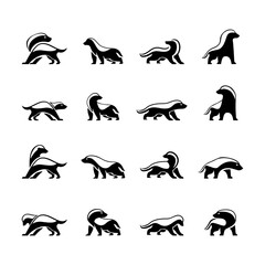 Honey Badger Logo icon Design Vector Image