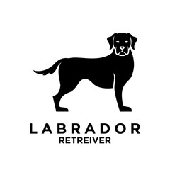 Labrador Retriever logo icon design illustration