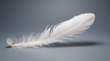 Obraz premium a single, delicate feather floating gracefully against a gray backdrop, representing lightness, freedom, and the beauty of nature. 