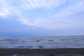 Tranquil Shoreline of Natural Beauty. Wooden pier, shady trees and beach sand