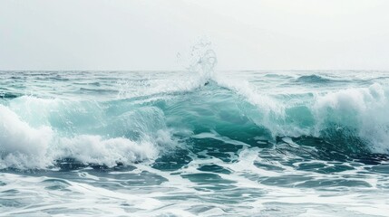 Fototapeta premium foamy waves rolling up in ocean 