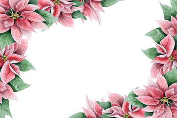 Christmas card template with poinsettia flowers and leaves isolated watercolor illustration for Christmas greeting banners, vertical or horizontal. Winter holidays florals