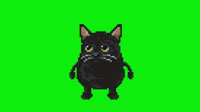 Dwarf cat, pixel art meme