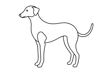 Dog Line art Drawing, continuous line drawing of dog, dogs vector