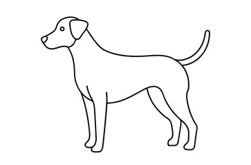Dog Line art Drawing, continuous line drawing of dog, dogs vector