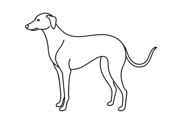 Dog Line art Drawing, continuous line drawing of dog, dogs vector