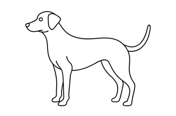 Dog Line art Drawing, continuous line drawing of dog, dogs vector