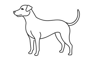 Dog Line art Drawing, continuous line drawing of dog, dogs vector