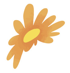 orange flower isolated on white