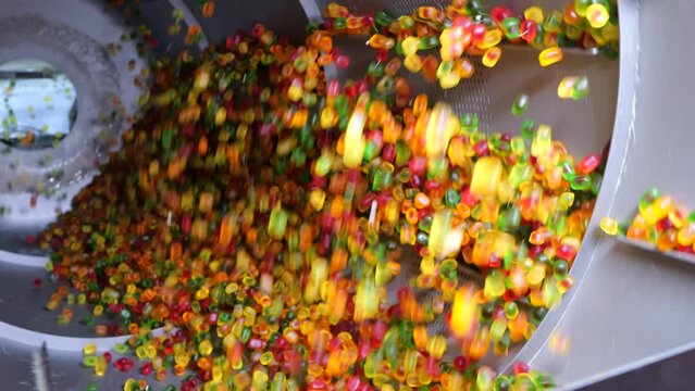 Industrial jelly candy production on conveyor at confectionery factory.