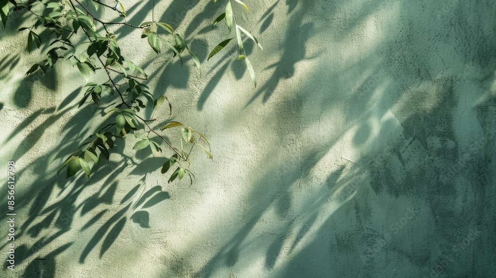 Wall mural abstract tree shadows on green wall background with text space
