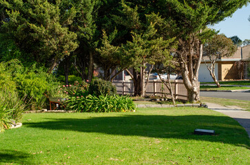 Green grass lawn in the front yard garden surrounded by trees, flowers, and plants, with residential houses in the neighborhood as the background.