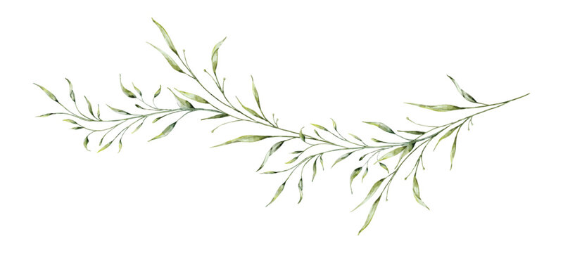 Watercolor botanical long branches and leaves