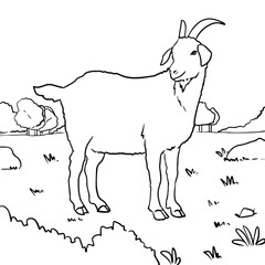 Goat Coloring Page