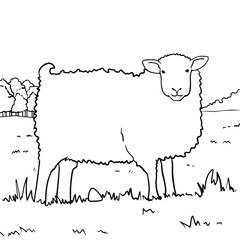 Sheep Coloring Page