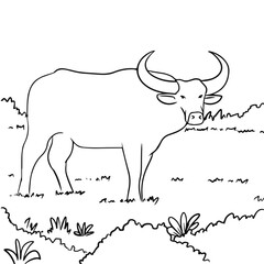 Buffalo with Two Horn Coloring Page